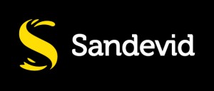 logo_sandevid_horizontal